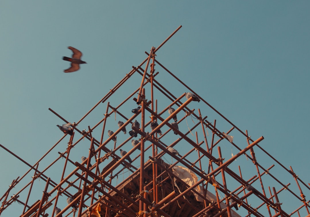 découvrez tout sur le scaffolding : définition, utilisations, types d’échafaudages, normes de sécurité et conseils pour choisir le matériel adapté à vos chantiers, que vous soyez professionnel ou particulier.